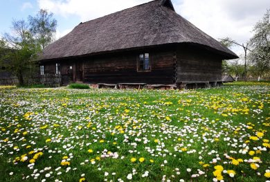 Lakūno S. Girėno gimtinė-muziejus